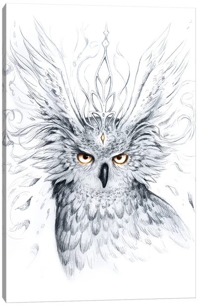 Owl Canvas Art Print - JojoesArt