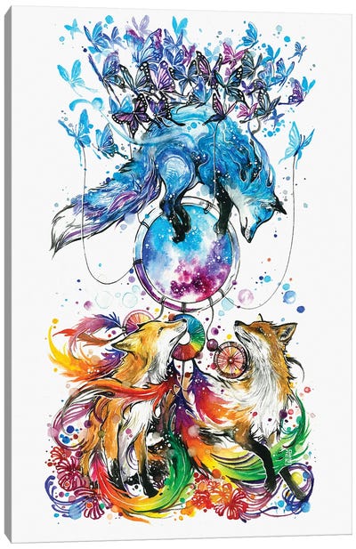The Dream Catcher Canvas Art Print - Fox Art