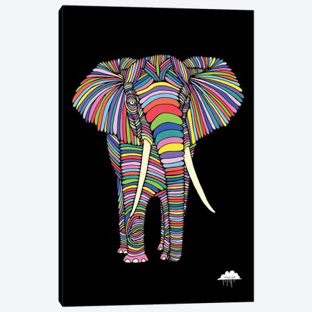 Eden The Enigmatic Elephant, Black Background Canvas Print #JOL17} by MULGA Canvas Artwork