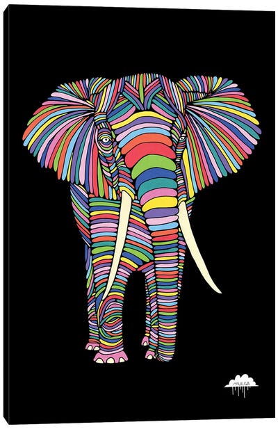 Eden The Enigmatic Elephant, Black Background Canvas Art Print - MULGA