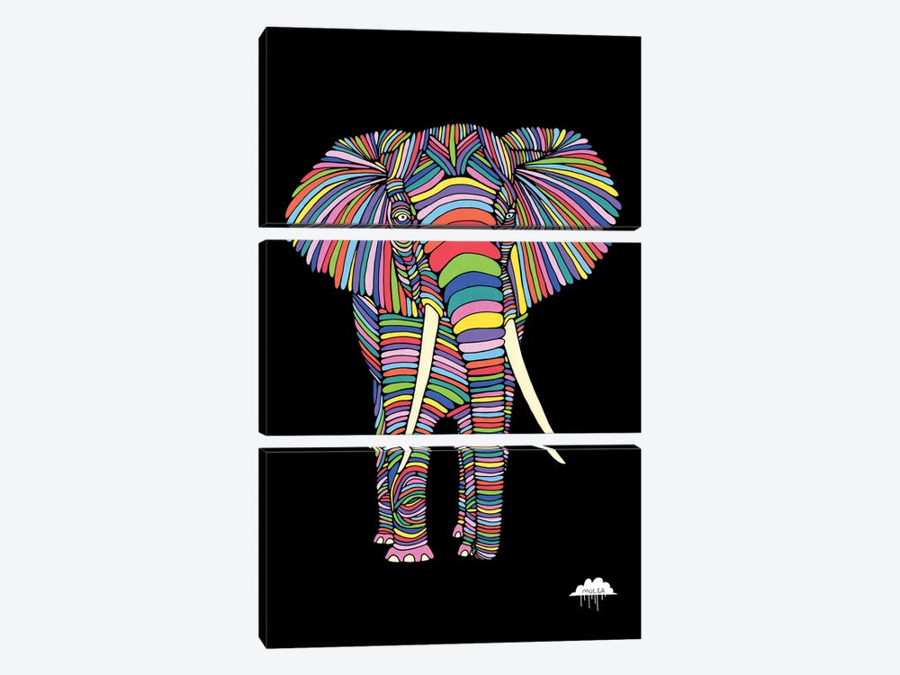 Eden The Enigmatic Elephant, Black Background by MULGA 3-piece Canvas Art