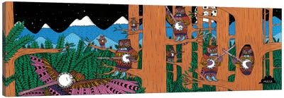 Mulgas Magical Musical Creatures: Owls Canvas Art Print - MULGA