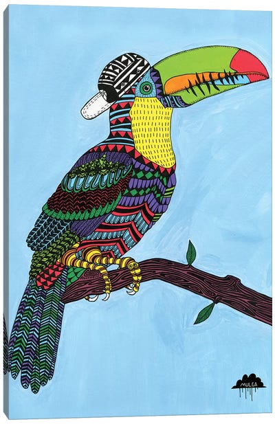 Timothy The Toucan Canvas Art Print - MULGA