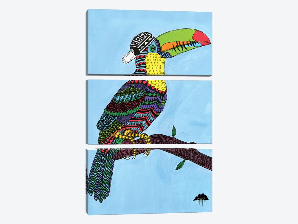 Timothy The Toucan by MULGA 3-piece Canvas Art Print