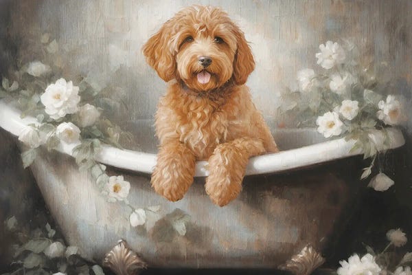 Labradoodles: Labradoodle Bath by Jo Moulton