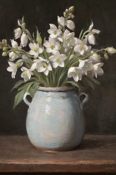 Fresh Blooms