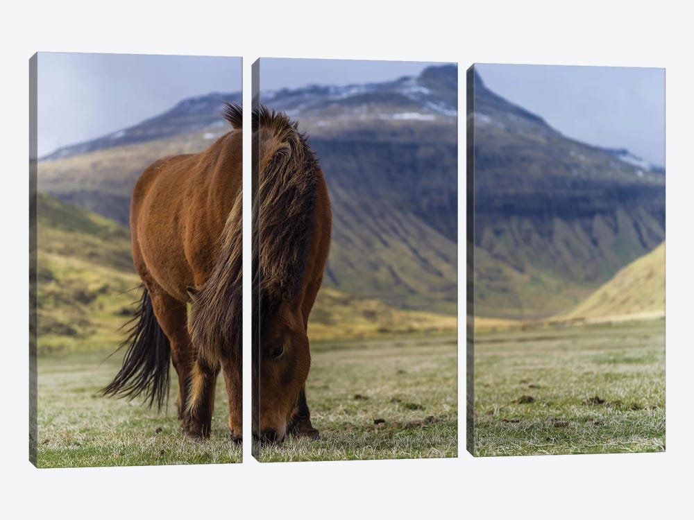 One Horse At The Faroe Islands by Anders Jorulf 3-piece Canvas Art Print