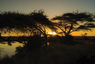 Sunlight by Anders Jorulf framed canvas print