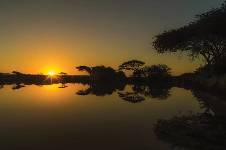 Sunset Reflections by Anders Jorulf wall art