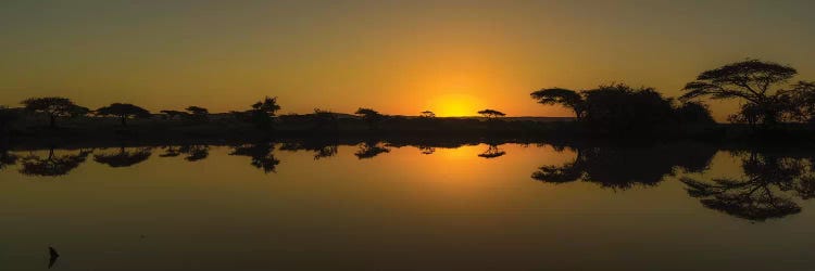 The African Sunset by Anders Jorulf wall art