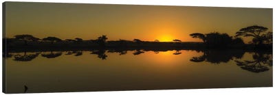 The African Sunset Canvas Art Print - Anders Jorulf