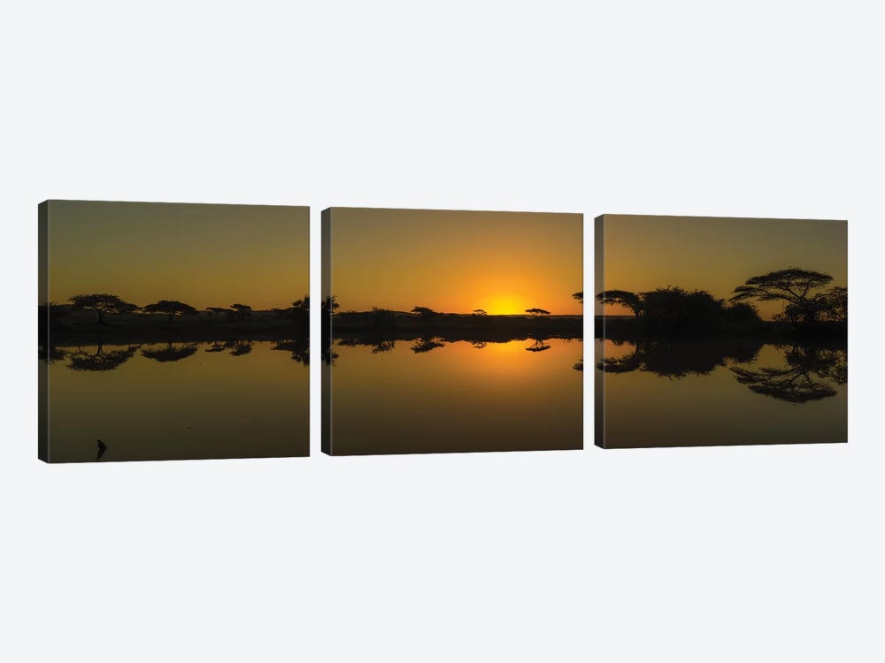 The African Sunset by Anders Jorulf 3-piece Canvas Wall Art