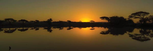 Africa: The African Sunset by Anders Jorulf