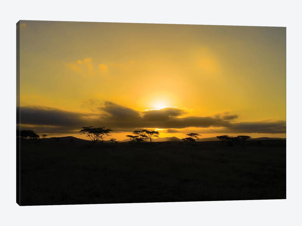 The Sunset by Anders Jorulf 1-piece Canvas Wall Art