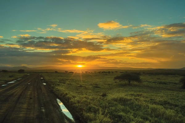 Anders Jorulf: The Wildlife Road by Anders Jorulf