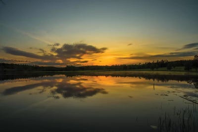 Endless Summer Nights by Anders Jorulf framed canvas print