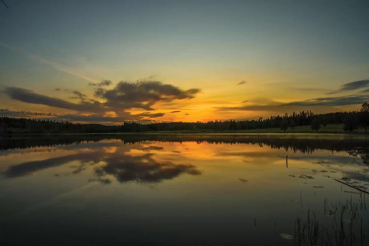 Endless Summer Nights by Anders Jorulf wall art