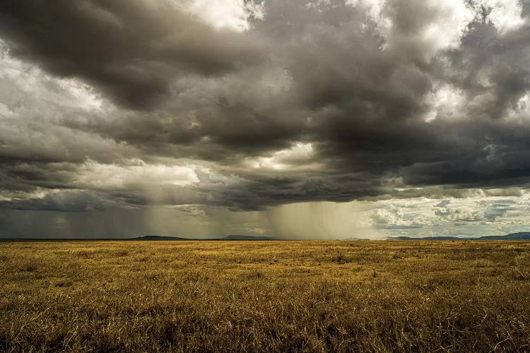 Rain In Serengeti