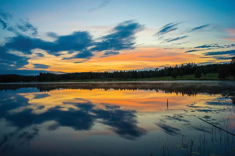 Summer In Sweden