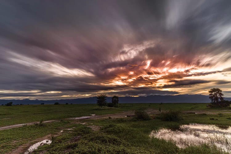 Tarangire, Tanzania