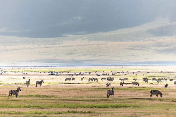 Ngorogoro