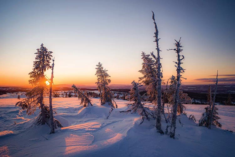 Winterlandscape by Anders Jorulf wall art