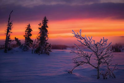 Wintermorning by Anders Jorulf framed canvas print