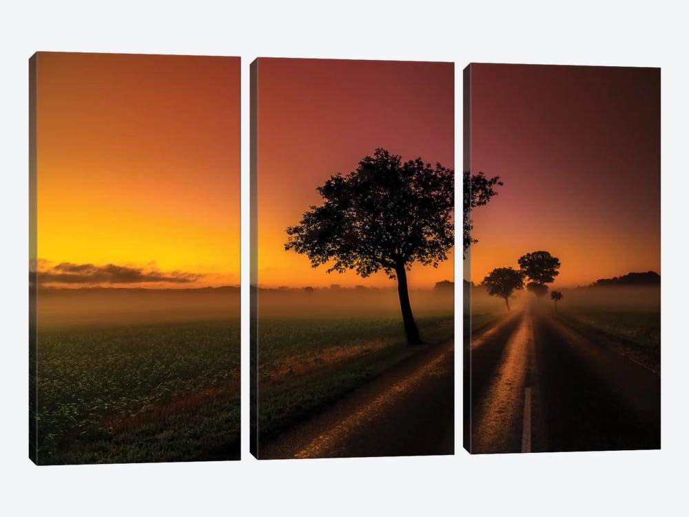 Morning by Anders Jorulf 3-piece Canvas Print