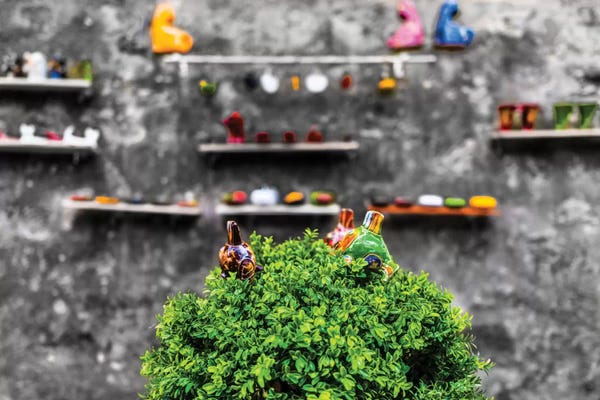 Color Pop Photography: The Tree by Anders Jorulf