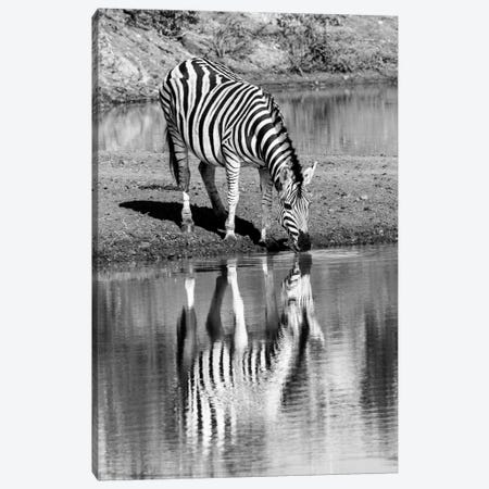 Zebra By The Water Canvas Print #JOR63} by Anders Jorulf Canvas Art