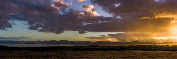 Anders Jorulf: African Morning by Anders Jorulf