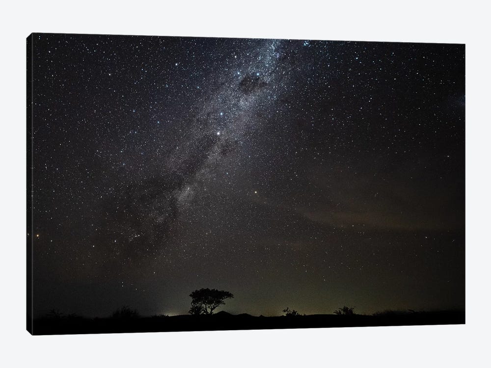 African Night by Anders Jorulf 1-piece Canvas Wall Art