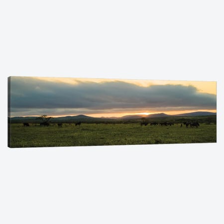 Evening In The Wild Canvas Print #JOR88} by Anders Jorulf Canvas Wall Art
