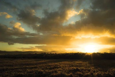 Morning Mist by Anders Jorulf canvas print