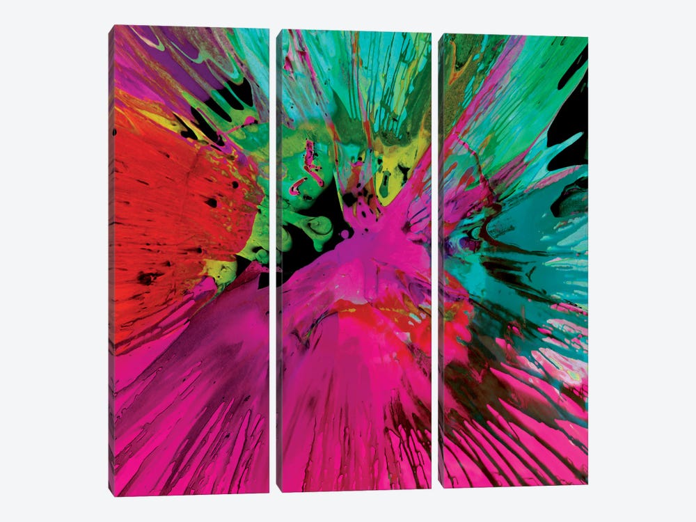 Unabashed I 3-piece Canvas Wall Art
