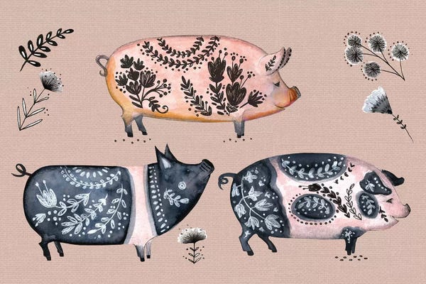 Pigs: Virginia Farm III by Jo Taylor