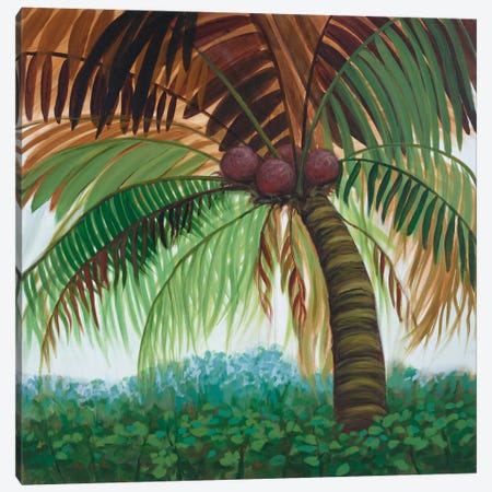 Tropic Palm II Canvas Print #JOY13} by Julie Joy Canvas Art