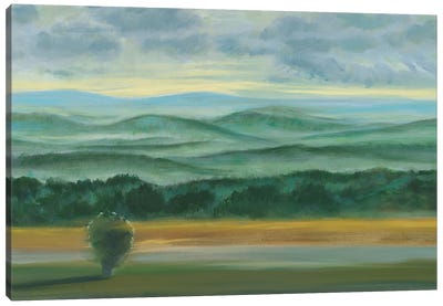 Misty Mountain View II Canvas Art Print