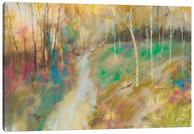 Wooded Pathway I Canvas Art Print
