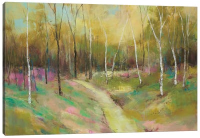 Wooded Pathway II Canvas Art Print