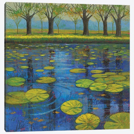 Shimmering Springs III Canvas Print #JOY39} by Julie Joy Canvas Art