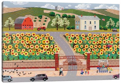 Sunflower Farm Canvas Art Print - Julie Pace Hoff