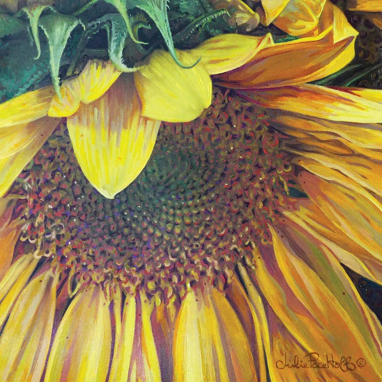 Sunflower I