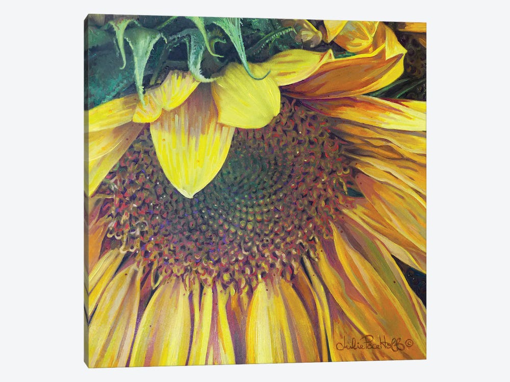 Sunflower I by Julie Pace Hoff 1-piece Canvas Art