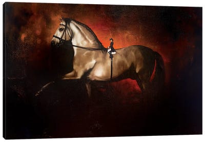 Dressage, A Horses View Canvas Art Print - Johnny Popkess