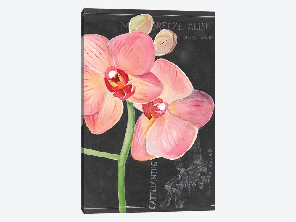 Chalkboard Flower I 1-piece Canvas Art