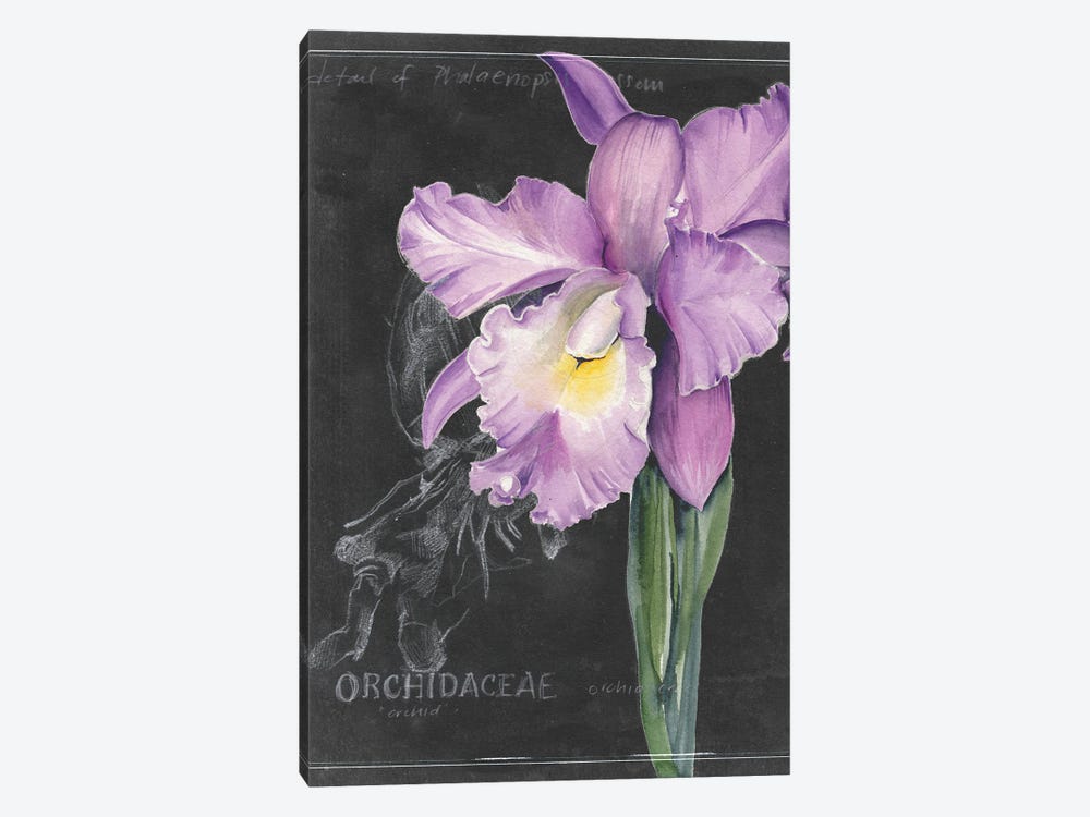 Chalkboard Flower II 1-piece Canvas Art Print