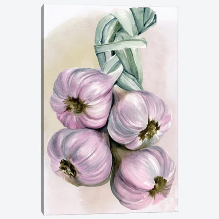 Garlic Braid I Canvas Print #JPP121} by Jennifer Paxton Parker Canvas Art Print