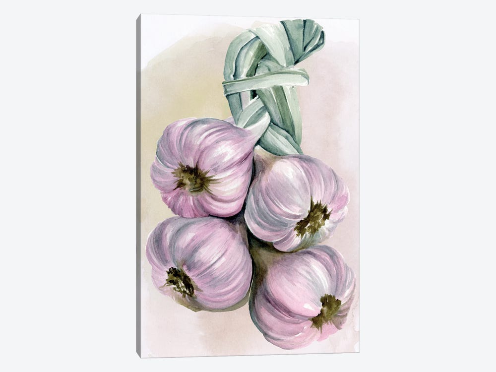 Garlic Braid I by Jennifer Paxton Parker 1-piece Canvas Art