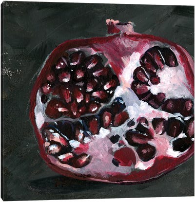 Pomegranate Study on Black I Canvas Art Print - Jennifer Paxton Parker